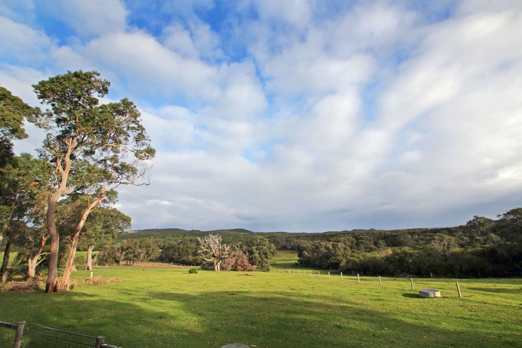 47 Privett Road, Denmark WA 6333, Denmark - Thumbnail 4