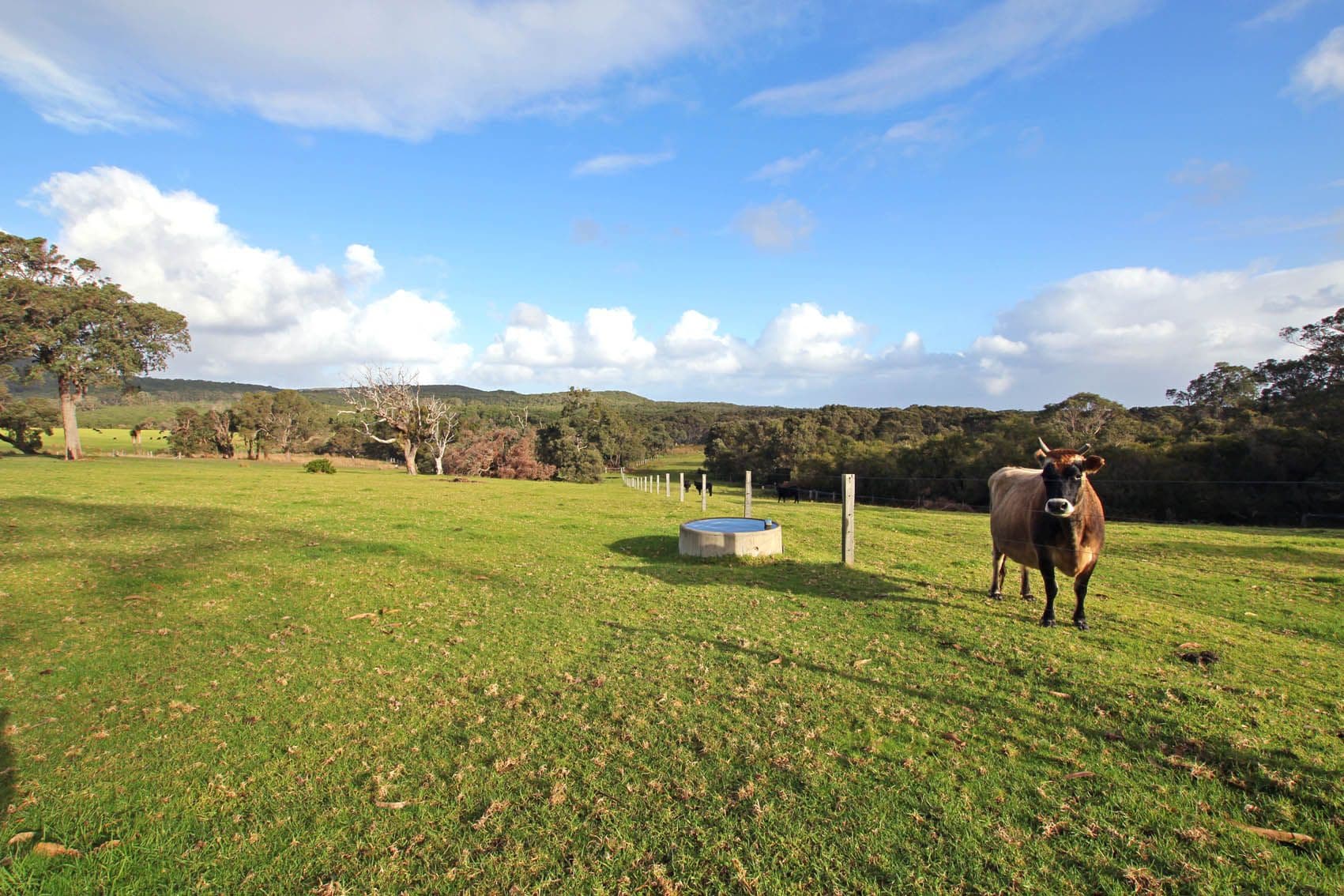 47 Privett Road, Denmark WA 6333, Denmark - Thumbnail 5