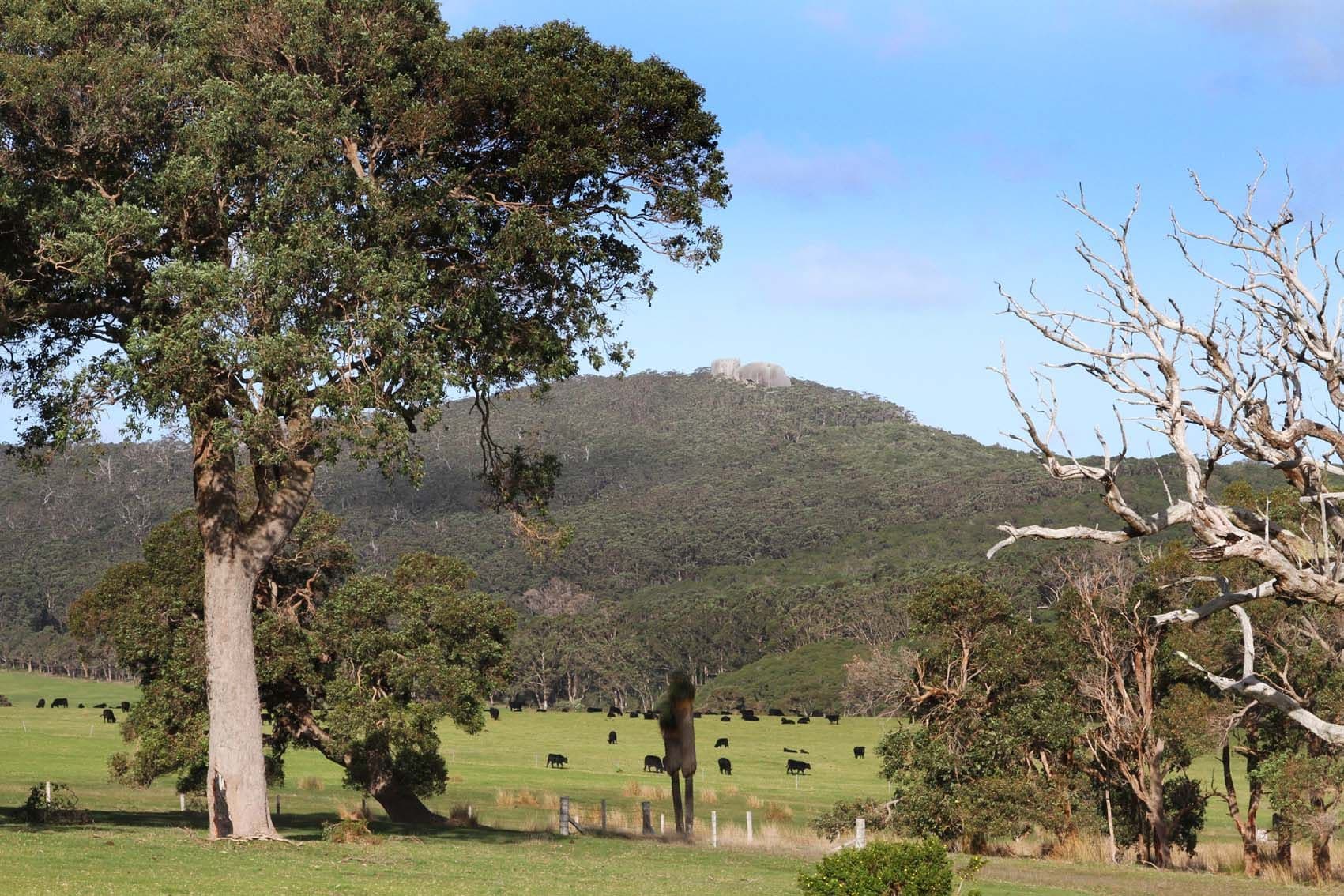 47 Privett Road, Denmark WA 6333, Denmark - Thumbnail 6