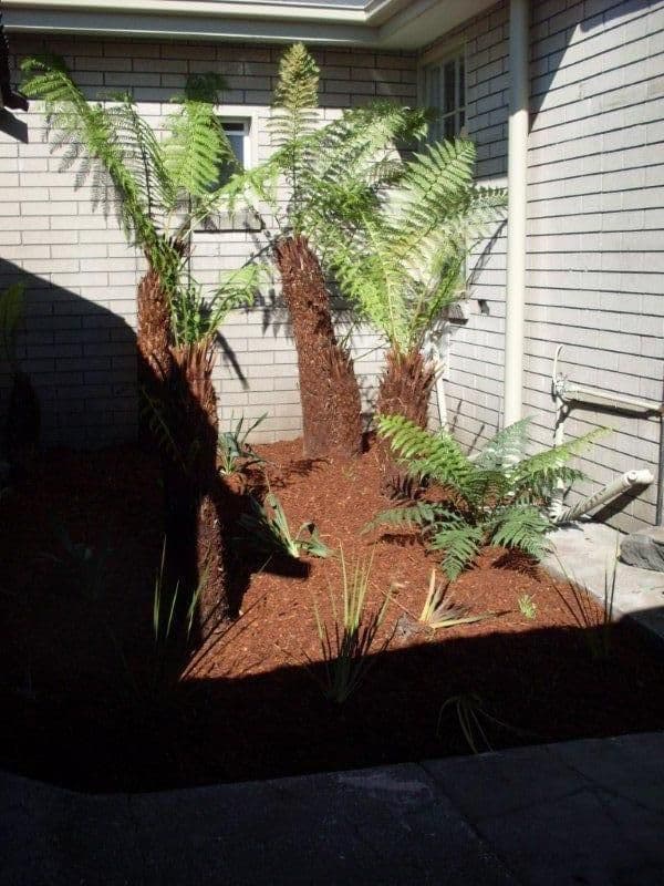 23 Main Road, GEORGE TOWN TAS 7253, George Town - Thumbnail 5