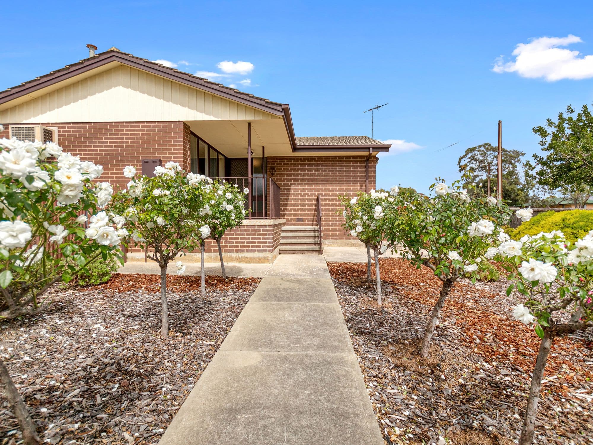 26 Columba Street, Morphett Vale SA 5162, Morphett Vale - Thumbnail 2