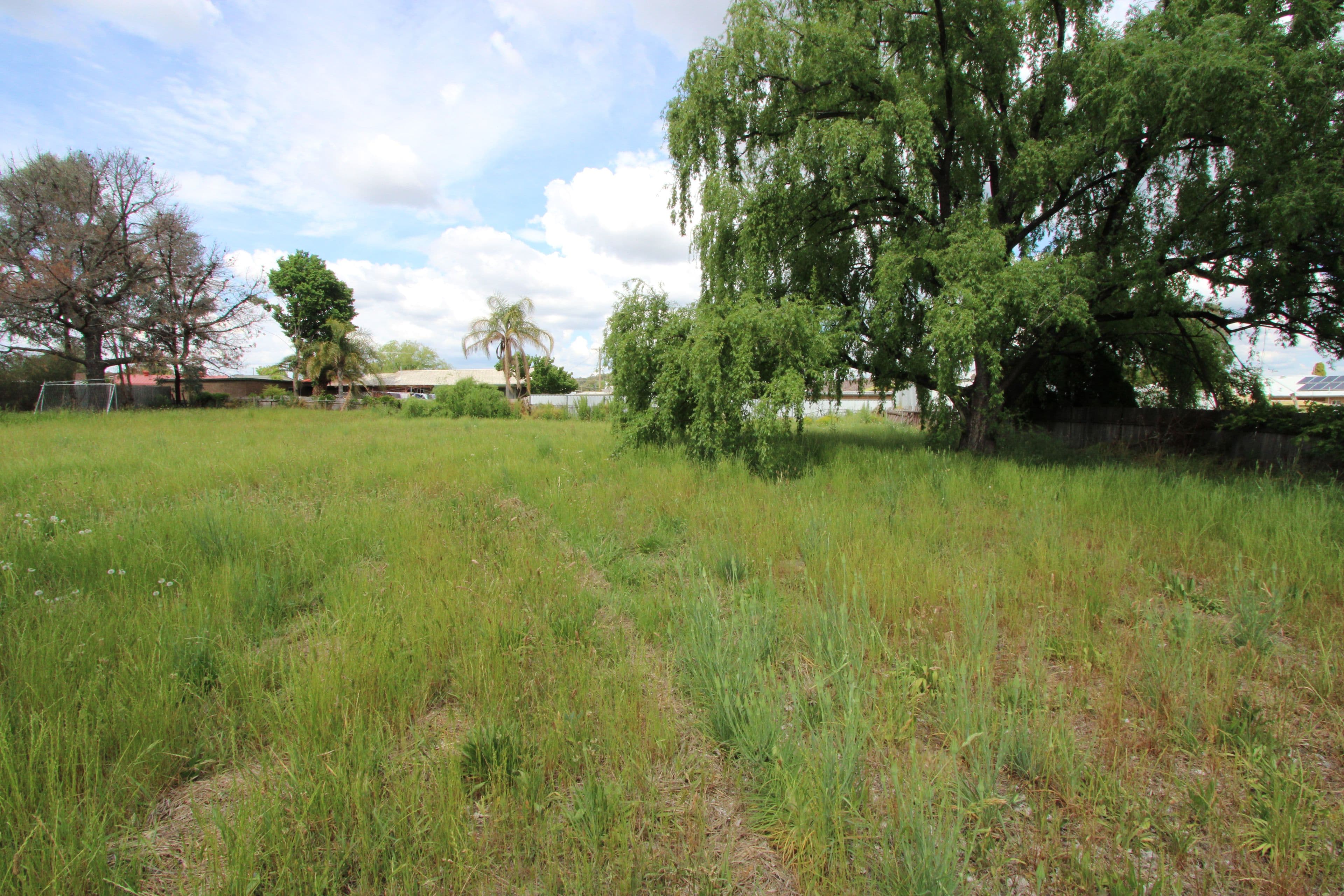 14C Woodland Avenue, Inverell NSW 2360, Inverell - Thumbnail 2