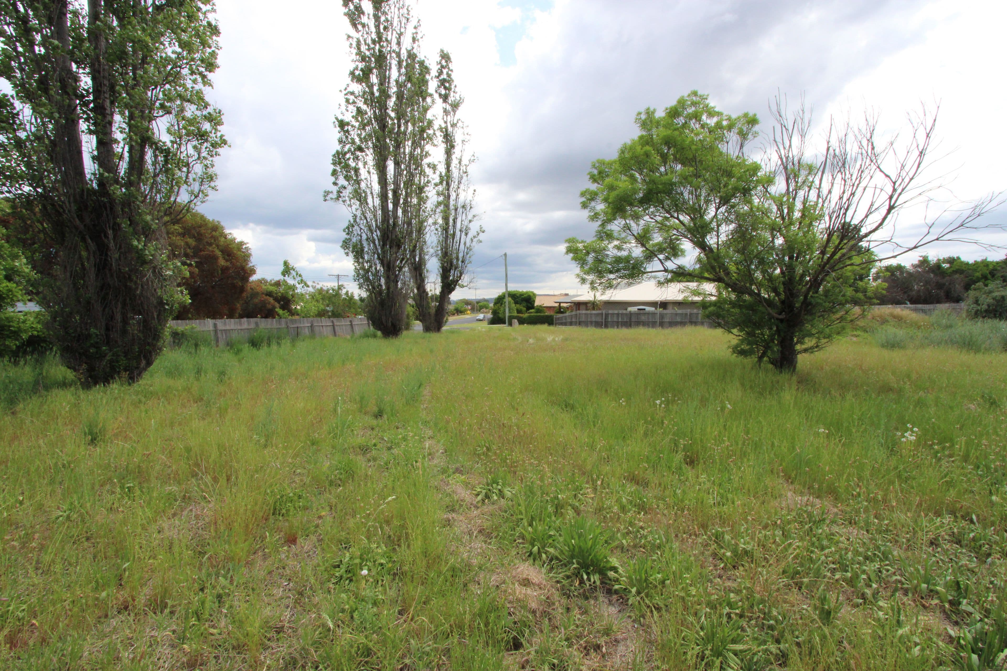 14C Woodland Avenue, Inverell NSW 2360, Inverell - Thumbnail 5
