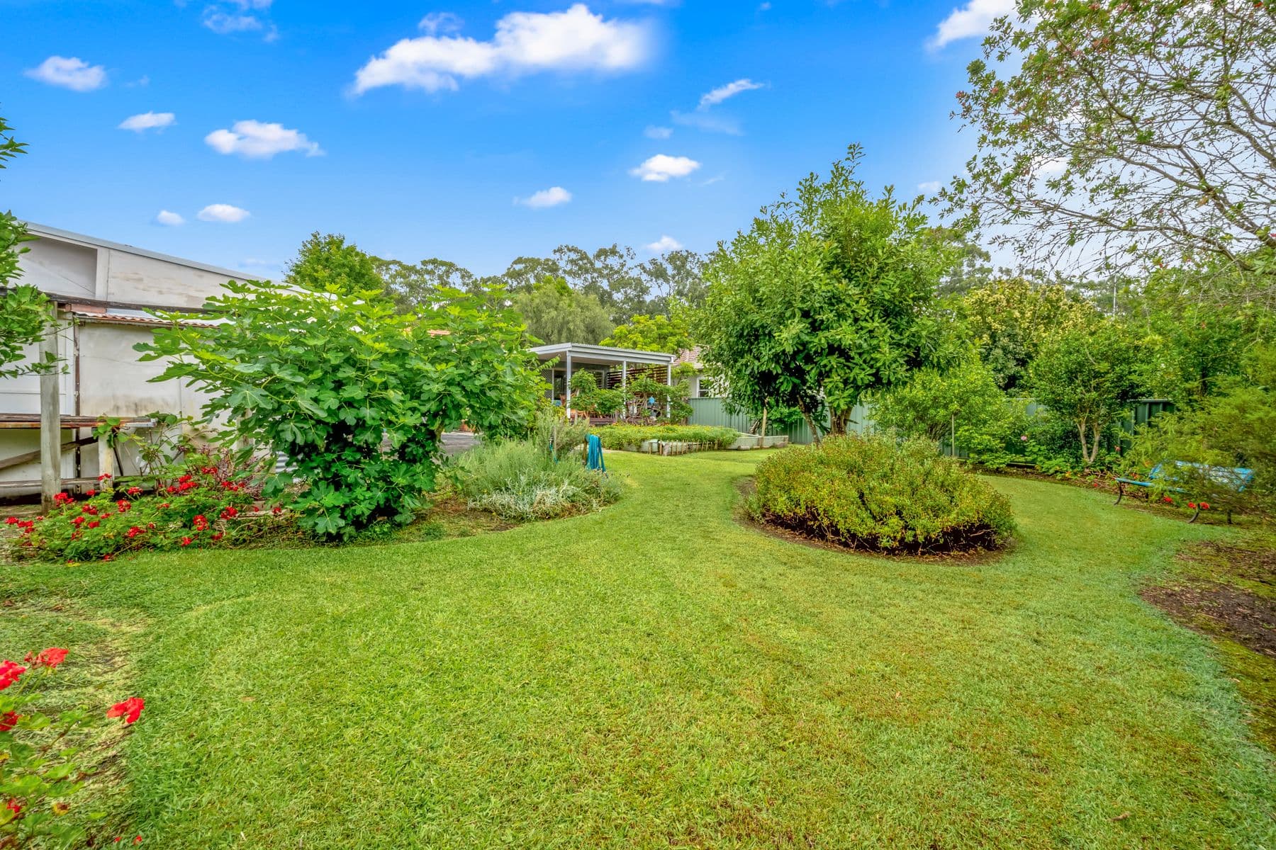 25 Park Avenue, Blackalls Park NSW 2283, Blackalls Park - Thumbnail 4