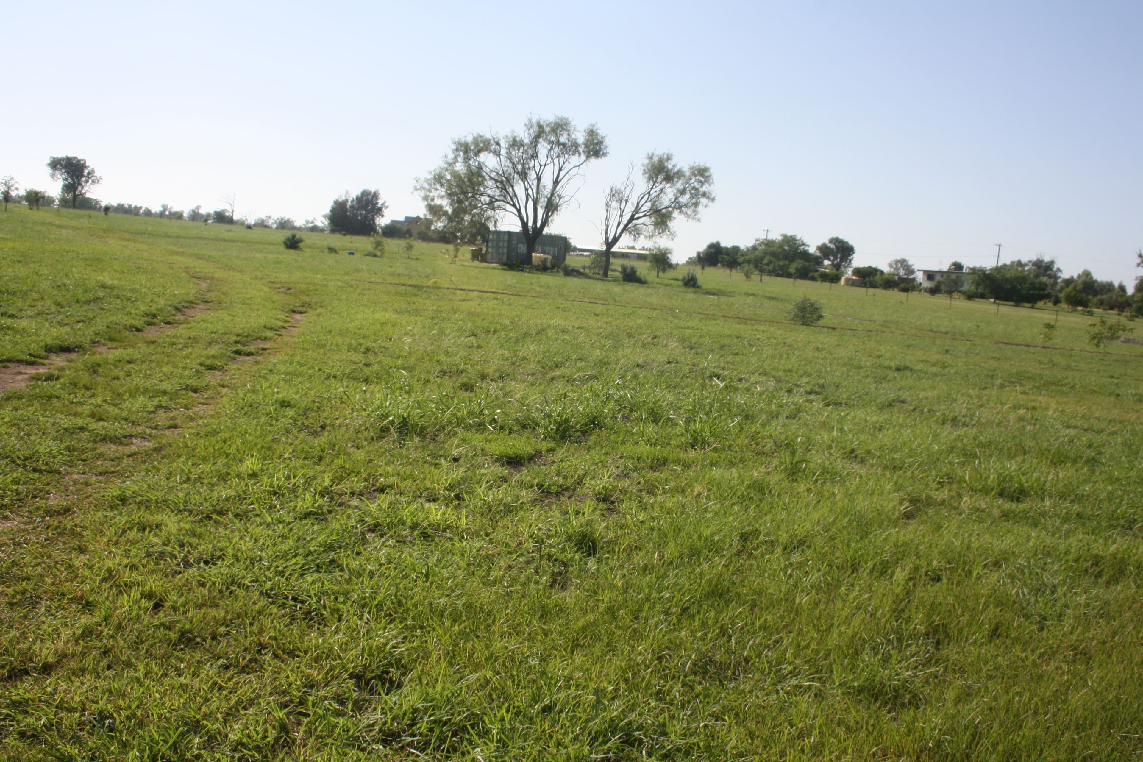 Lot 18 Frank McCauley Street, Mundubbera QLD 4626, Mundubbera - Thumbnail 2