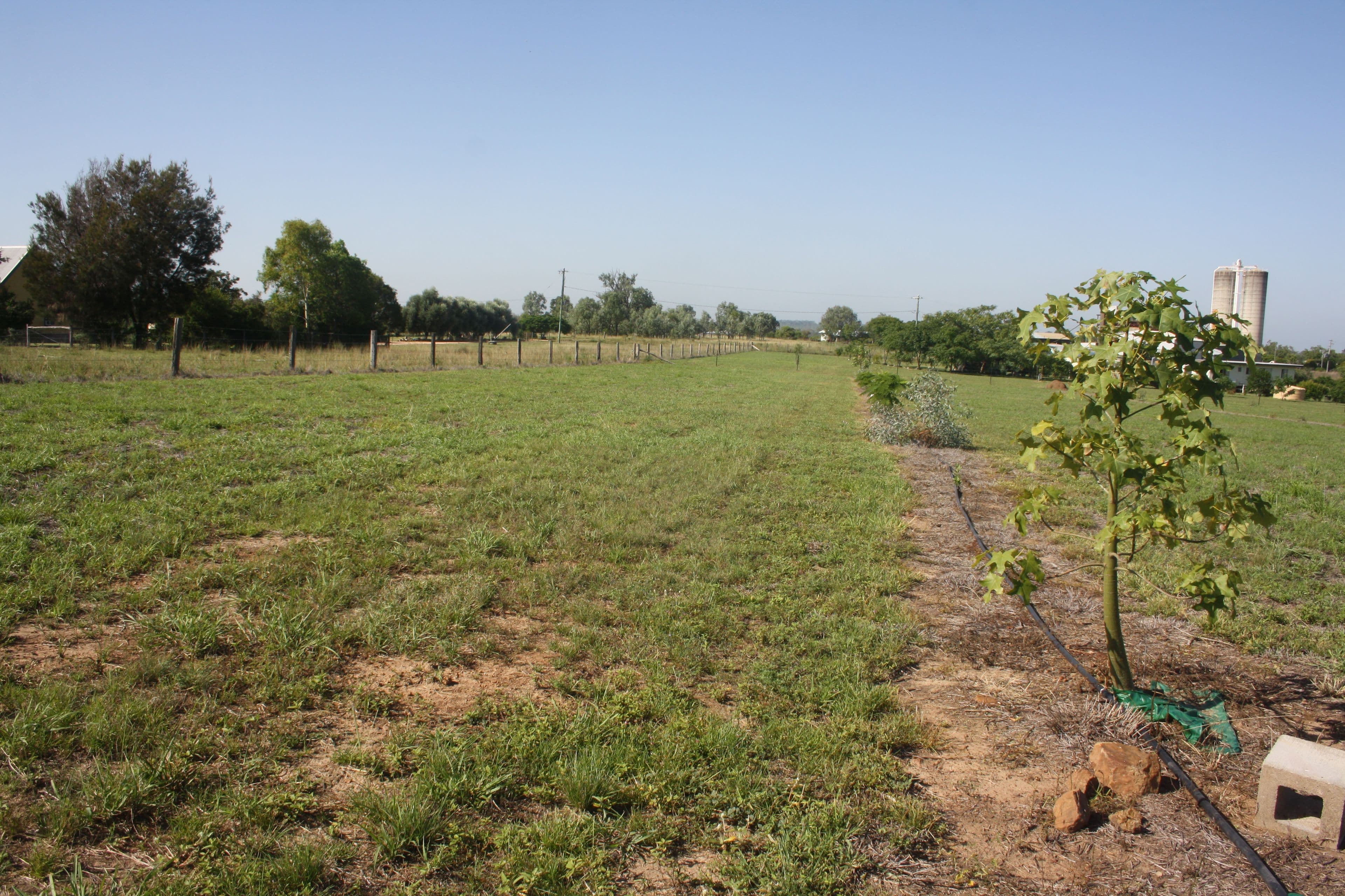 Lot 18 Frank McCauley Street, Mundubbera QLD 4626, Mundubbera - Thumbnail 3