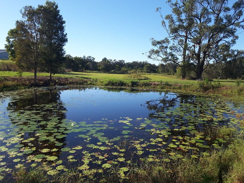 Lot 3 Glenview Road, Glenview QLD 4553, Glenview - Thumbnail 4