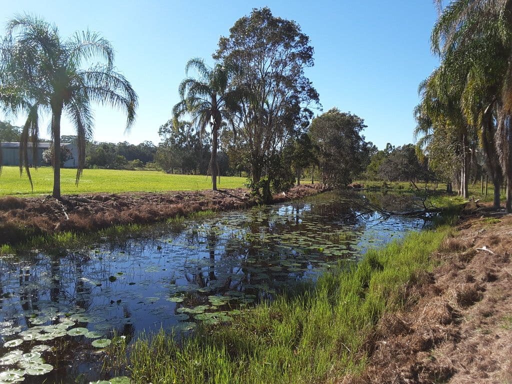 Lot 3 Glenview Road, Glenview QLD 4553, Glenview - Thumbnail 7