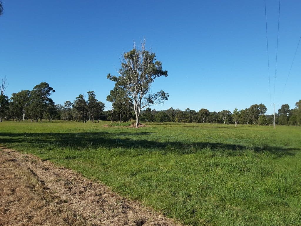 Lot 3 Glenview Road, Glenview QLD 4553, Glenview - Thumbnail 8