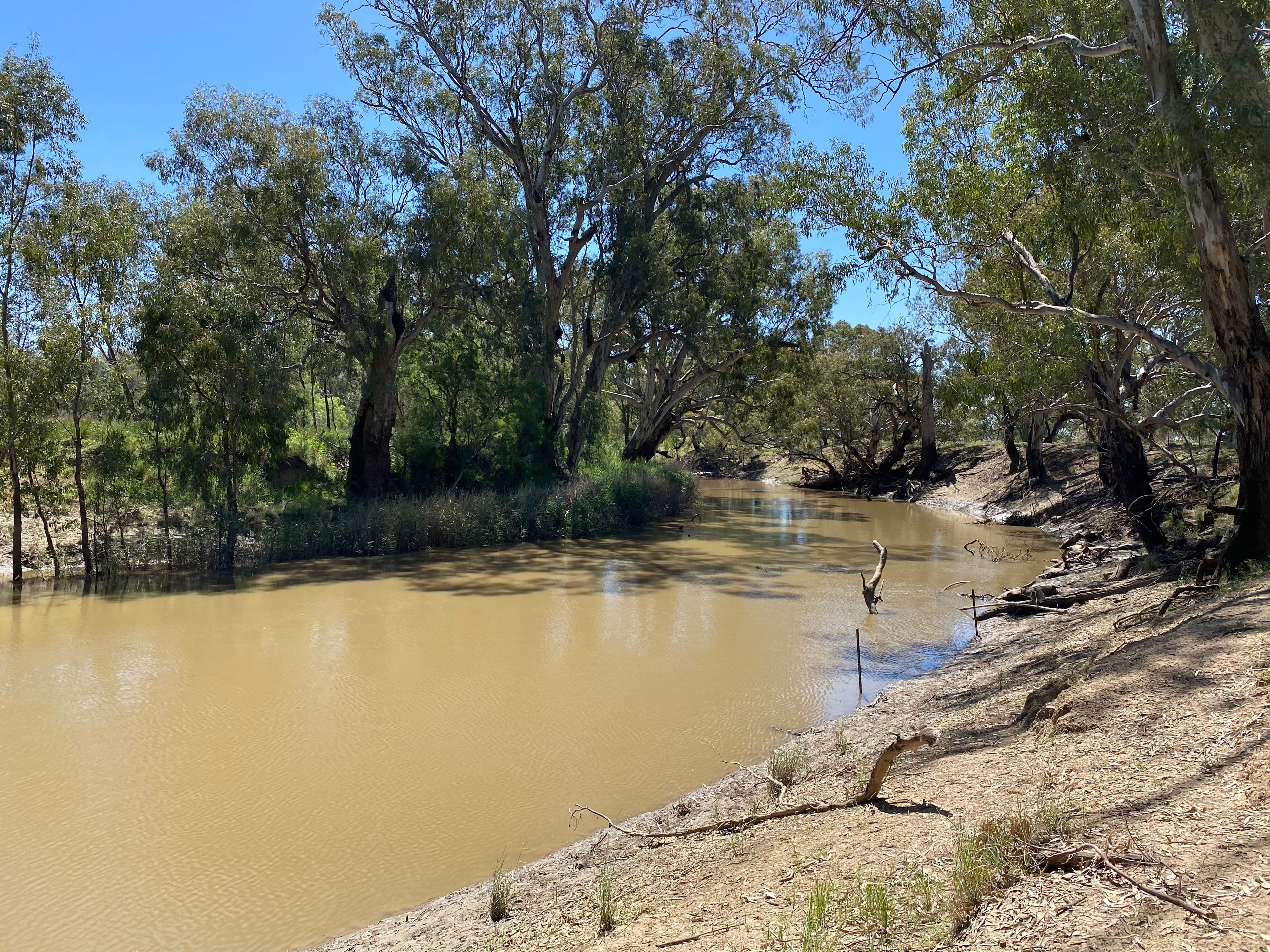 202 North Forbes Road, Condobolin NSW 2877, Condobolin - Thumbnail 2