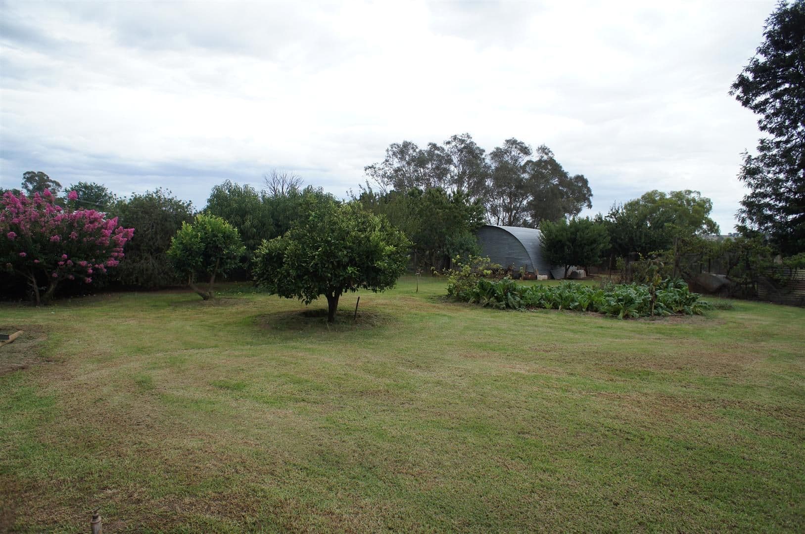 19 Currumbin Road, Doreen, Doreen - Thumbnail 2