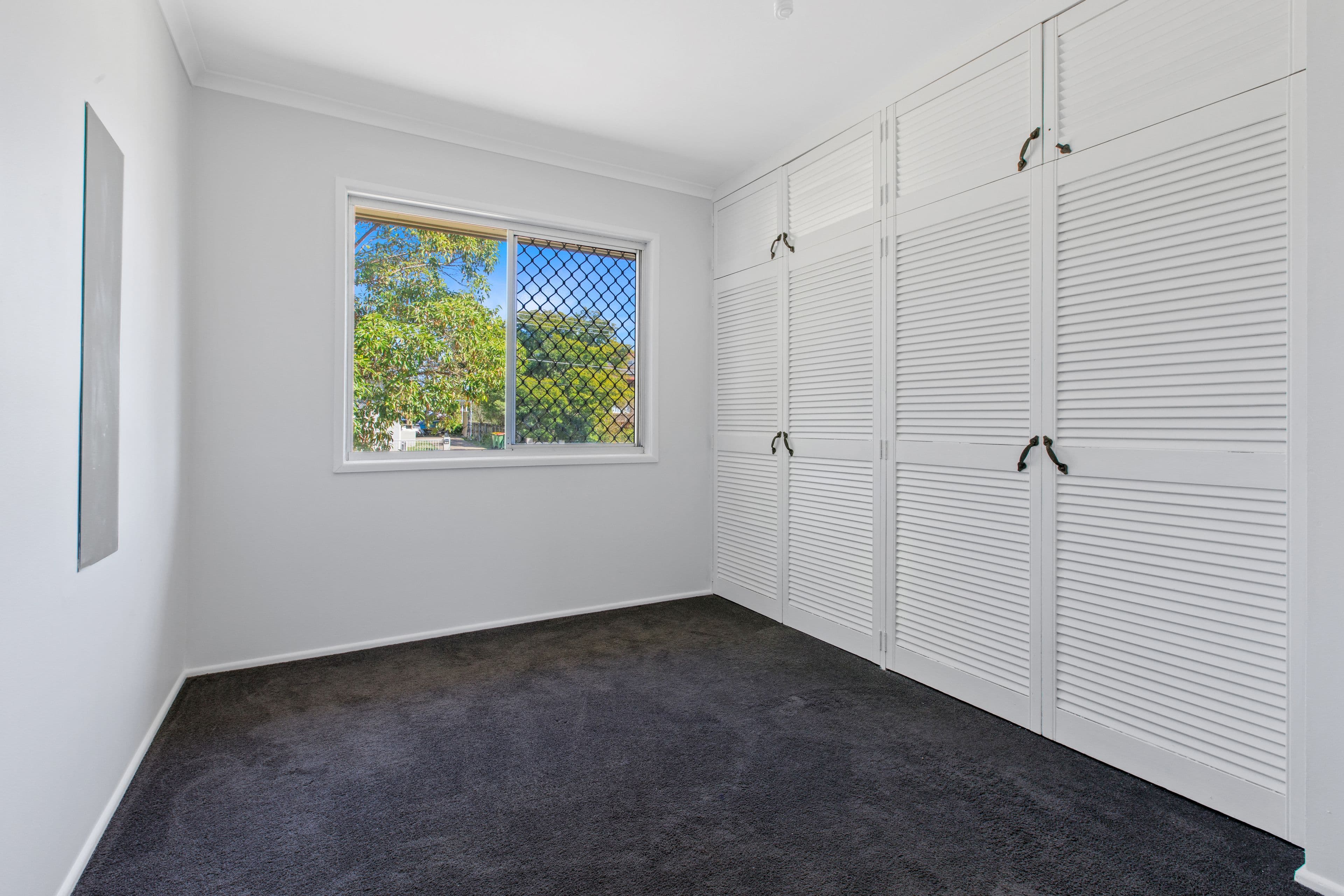 18 Somerset Street, Alexandra Hills QLD 4161, Alexandra Hills - Thumbnail 8