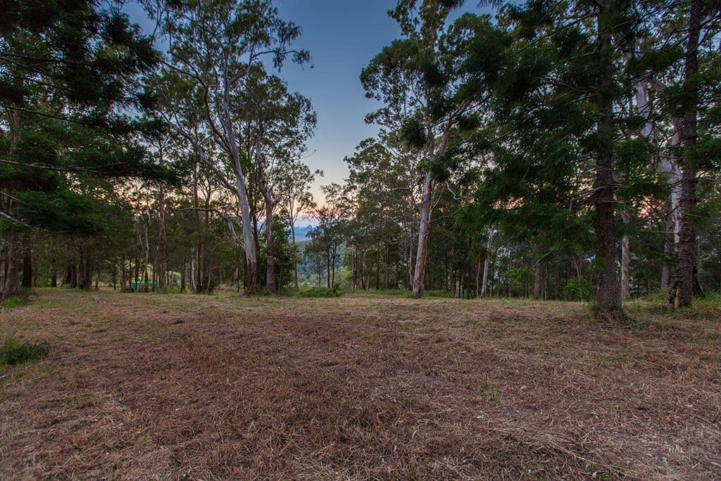 380 Pedwell Road, Wamuran Basin QLD 4512, Wamuran Basin - Thumbnail 4