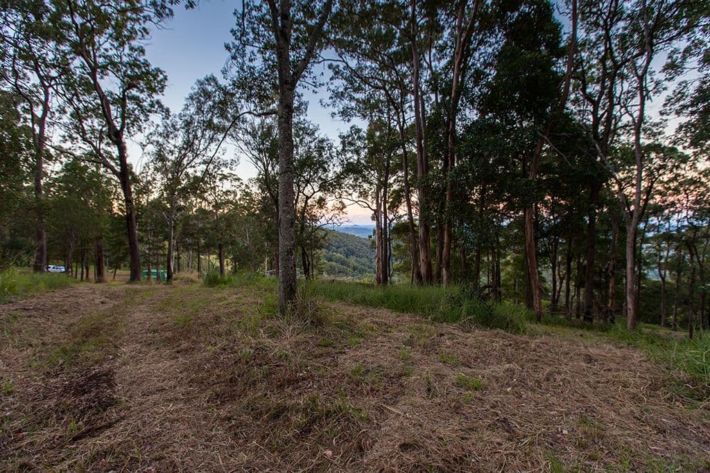 380 Pedwell Road, Wamuran Basin QLD 4512, Wamuran Basin - Thumbnail 6