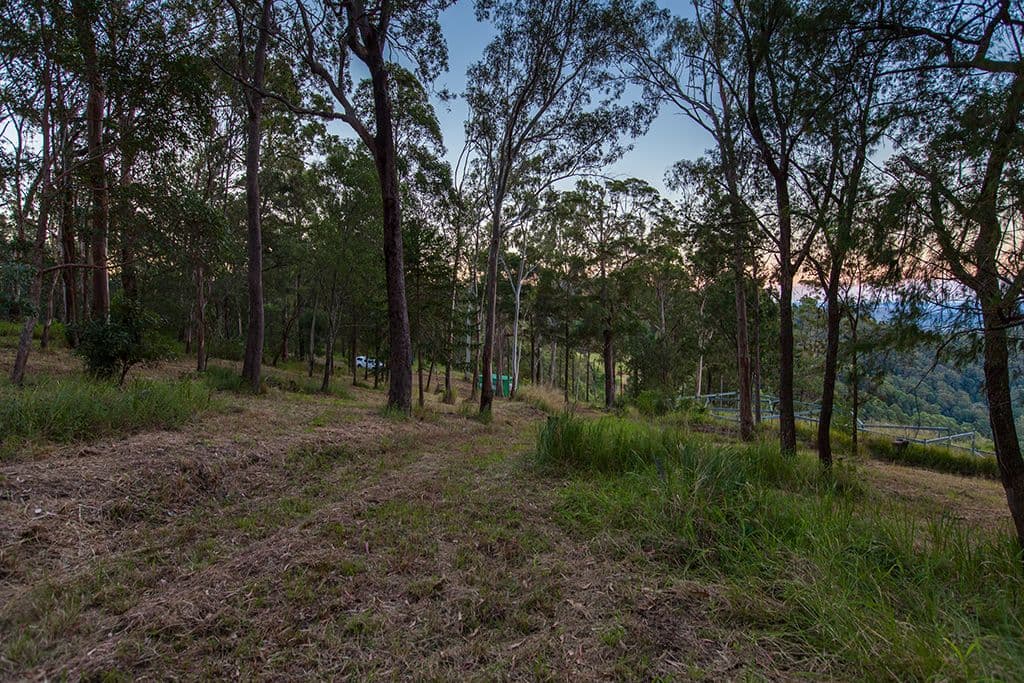 380 Pedwell Road, Wamuran Basin QLD 4512, Wamuran Basin - Thumbnail 7