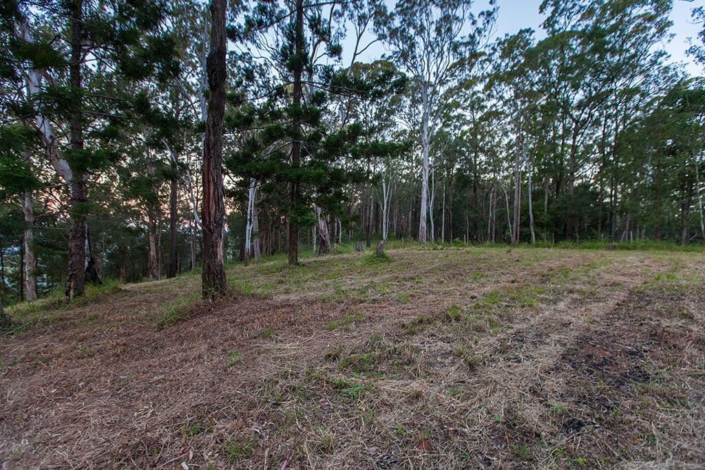380 Pedwell Road, Wamuran Basin QLD 4512, Wamuran Basin - Thumbnail 8