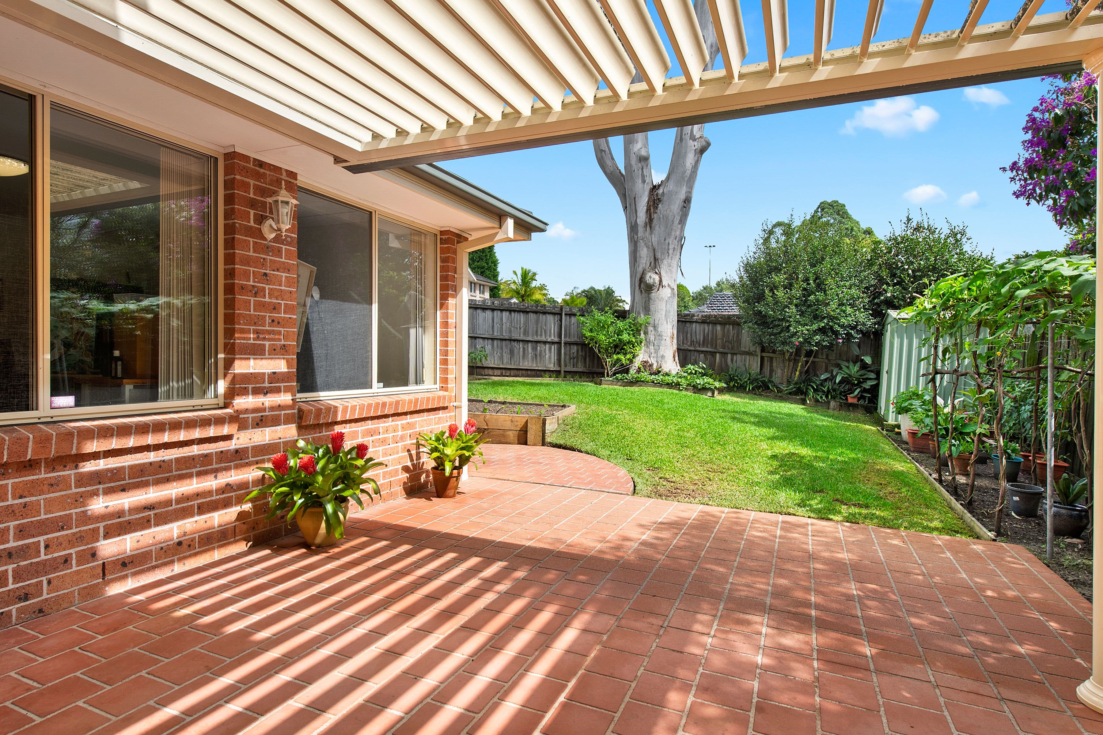 11 Hyacinth Street, Asquith NSW 2077, Asquith - Thumbnail 8