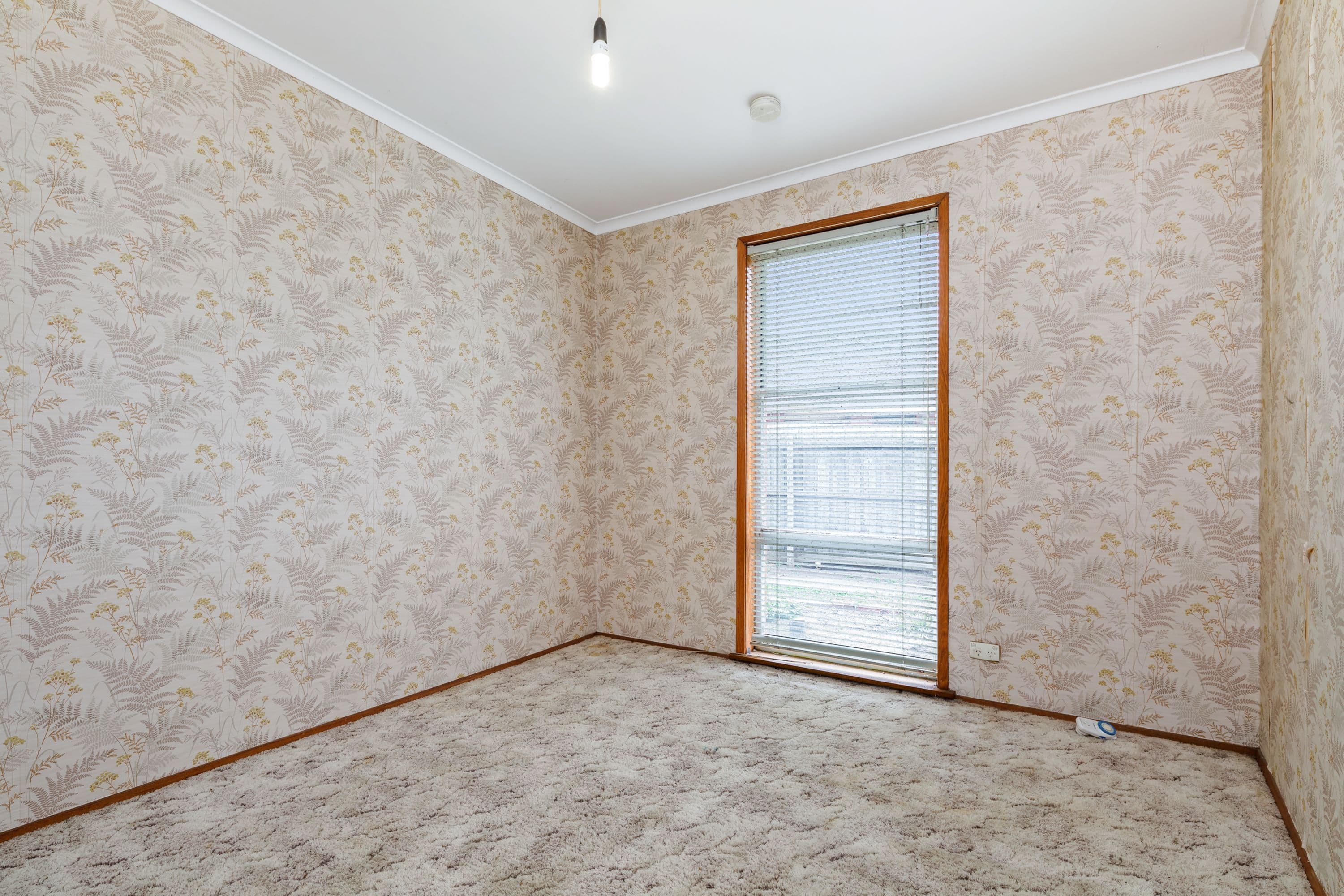 149D Corea Street, Miranda - Thumbnail 8