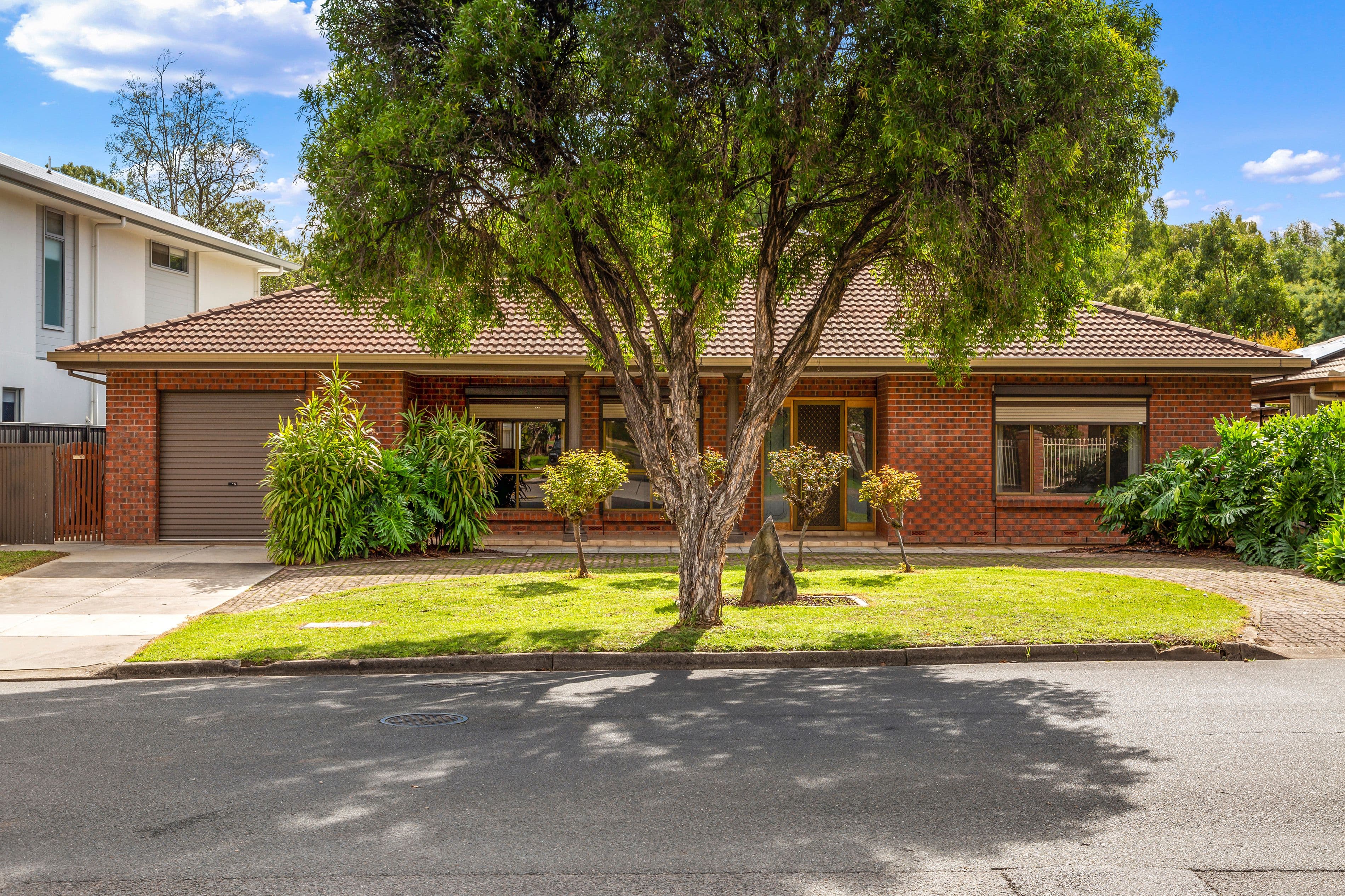 23 Watson Street, Hectorville SA 5073, Hectorville - Image 1