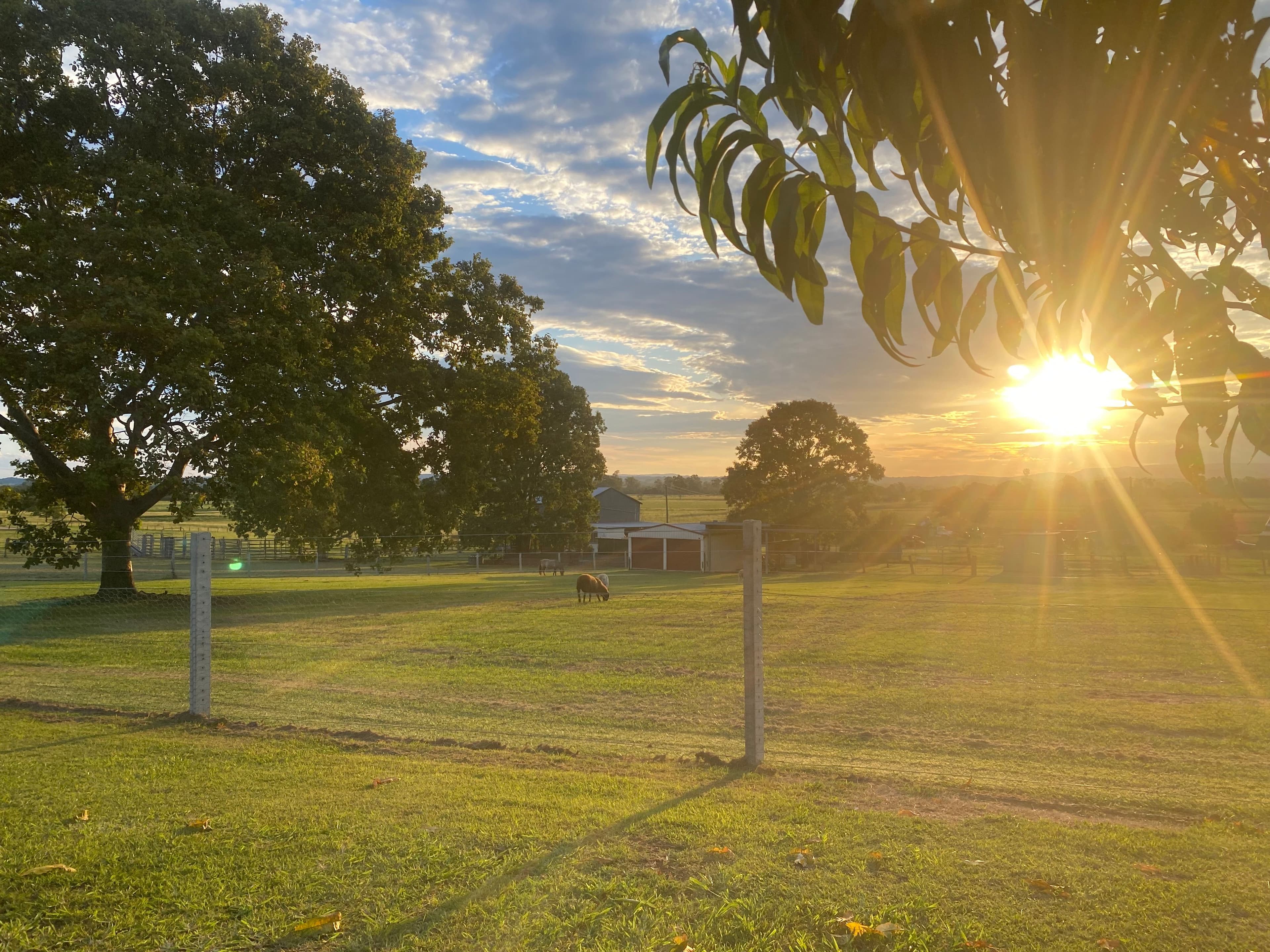 3 Harvest View Place, Fairy Hill NSW 2470, Fairy Hill - Thumbnail 4