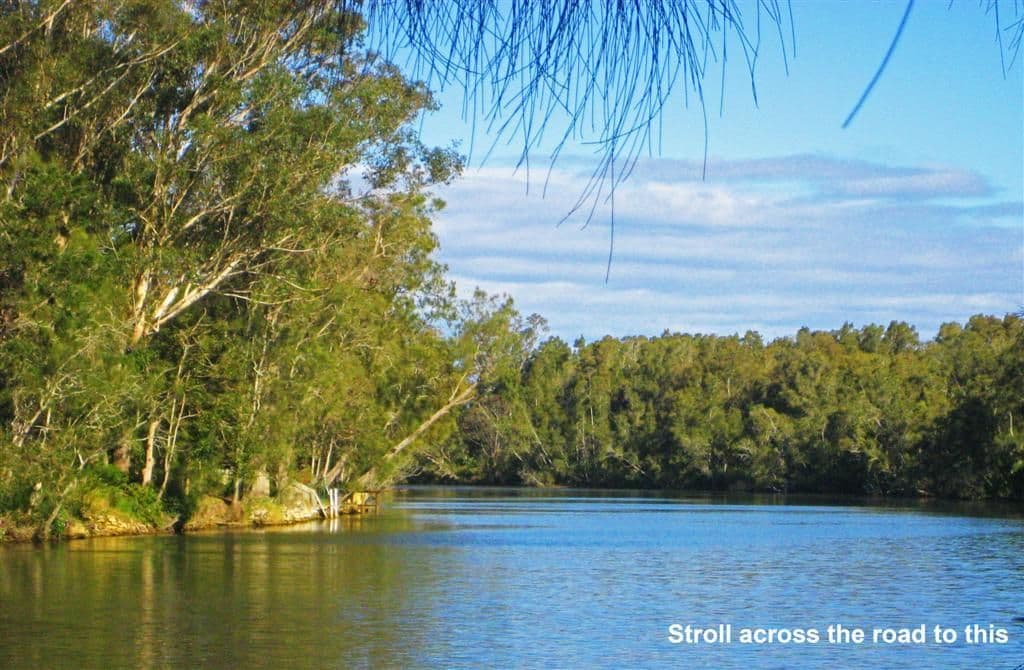 80 Panonia Road, WYONG NSW 2259, Wyong - Thumbnail 2