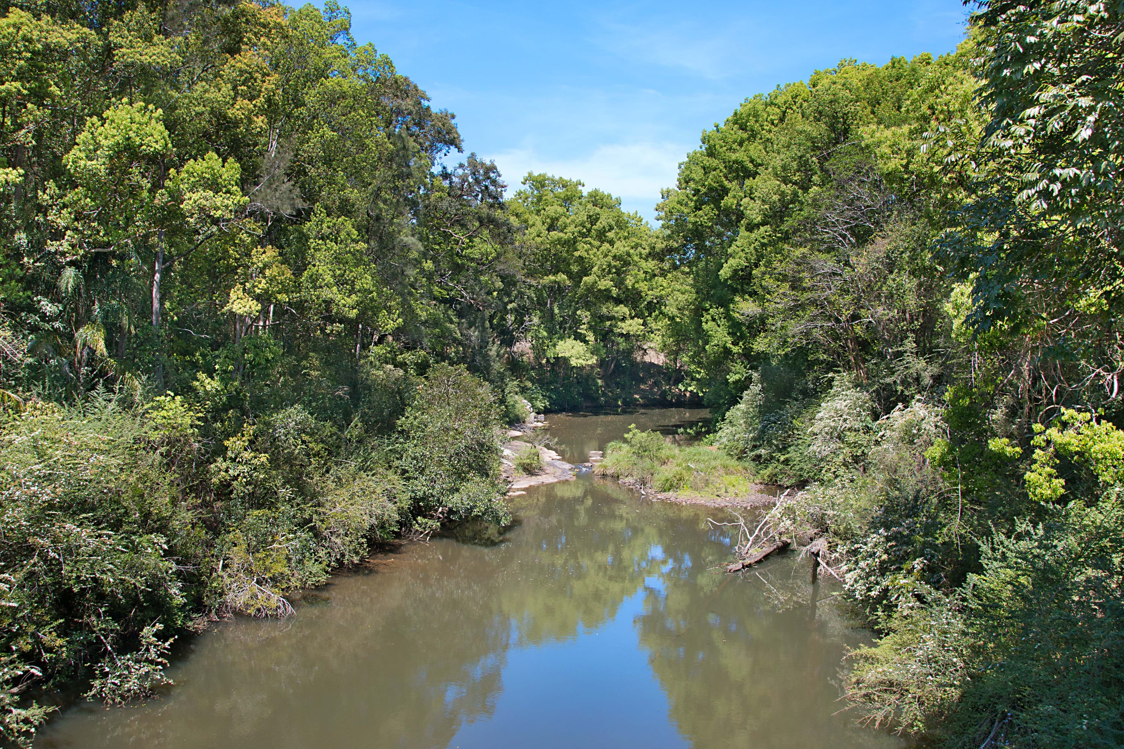 20 Coodgie Street, Tyalgum - Thumbnail 7
