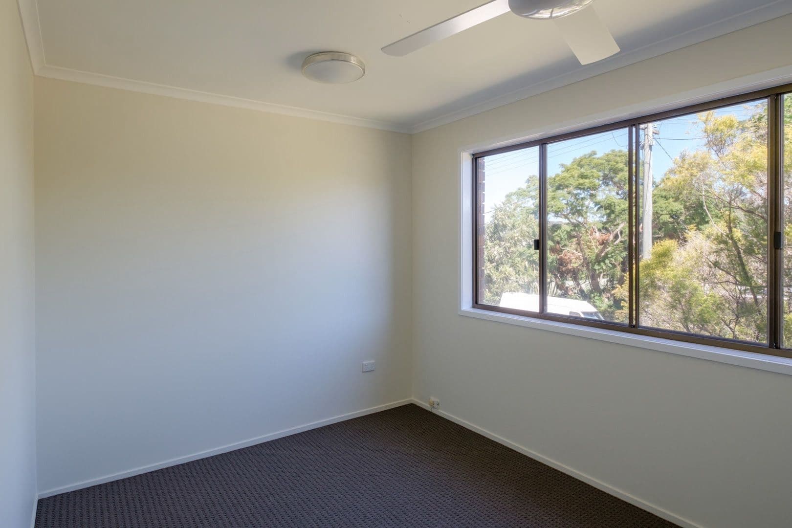 3 Nabal Street, Bli Bli QLD 4560, Bli Bli - Thumbnail 7