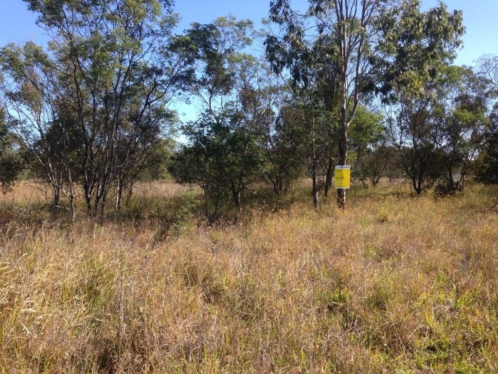 Lot 27 Andrews Road, Nanango QLD 4615, South Nanango - Thumbnail 4