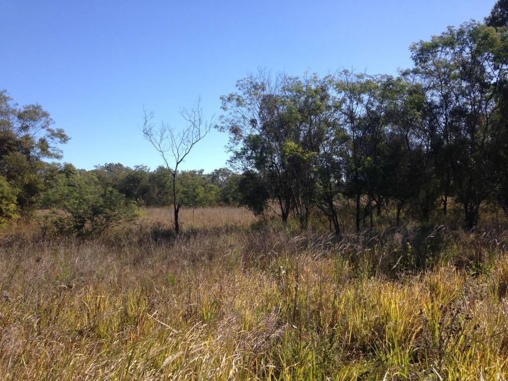 Lot 27 Andrews Road, Nanango QLD 4615, South Nanango - Thumbnail 5