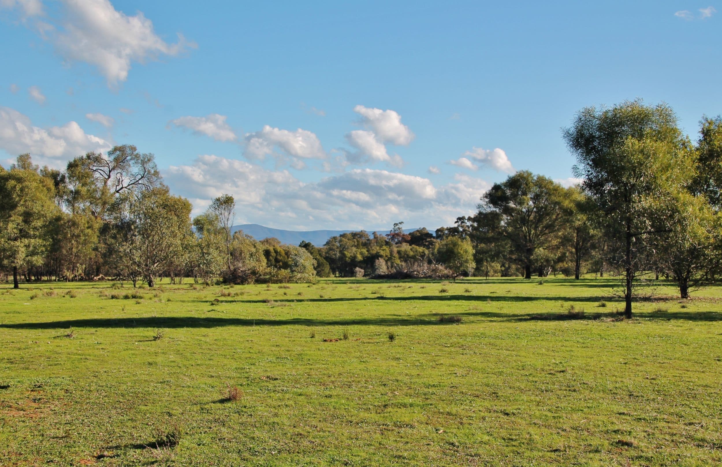 147A Simpson Drive, Grenfell NSW 2810, Grenfell - Image 1