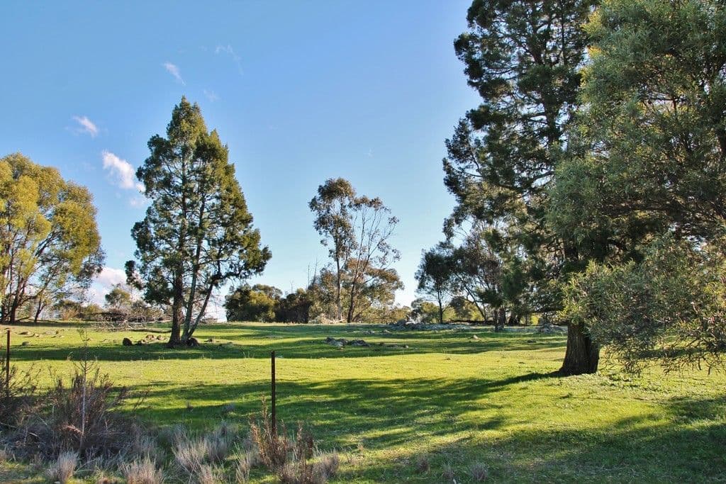 147A Simpson Drive, Grenfell NSW 2810, Grenfell - Thumbnail 5