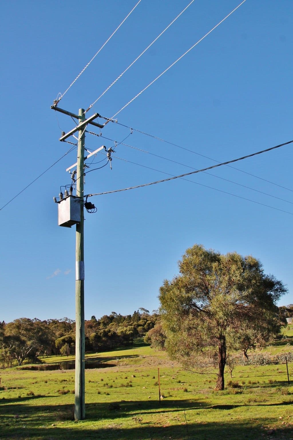 147A Simpson Drive, Grenfell NSW 2810, Grenfell - Thumbnail 7