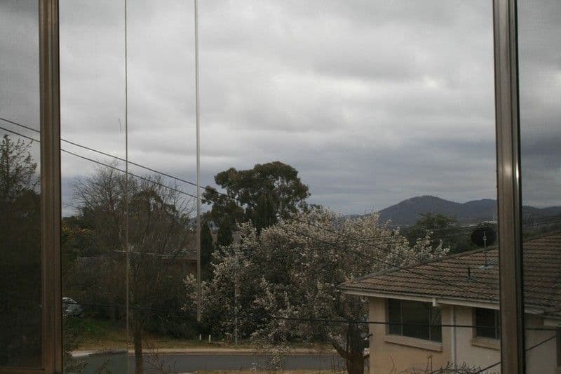 208 La Perouse Street, RED HILL ACT 2603, Red Hill - Thumbnail 7