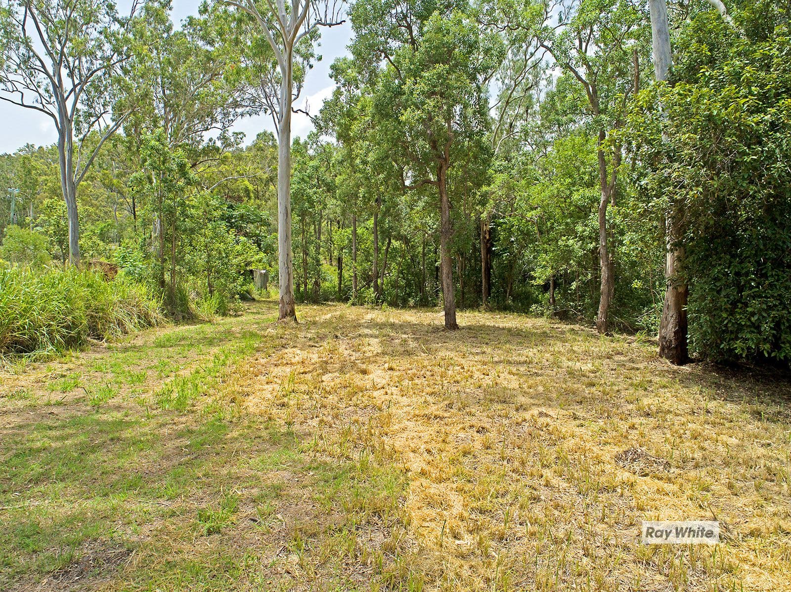 570 Coorooman Creek Road, Cawarral QLD 4702, Cawarral - Image 1