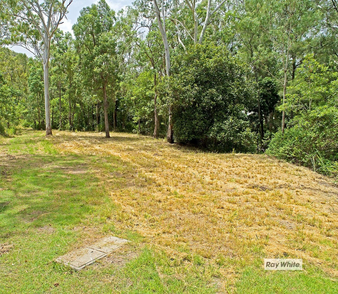 570 Coorooman Creek Road, Cawarral QLD 4702, Cawarral - Thumbnail 3