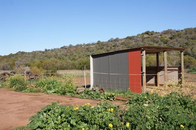 65 Brennand Road, DONGARA WA 6525, Dongara - Thumbnail 7