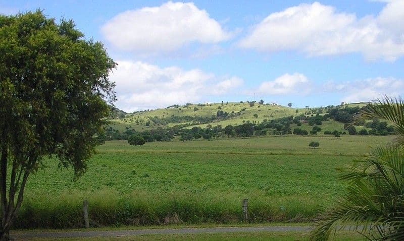 115 Prospect Street, LOWOOD QLD 4311, Lowood - Thumbnail 6