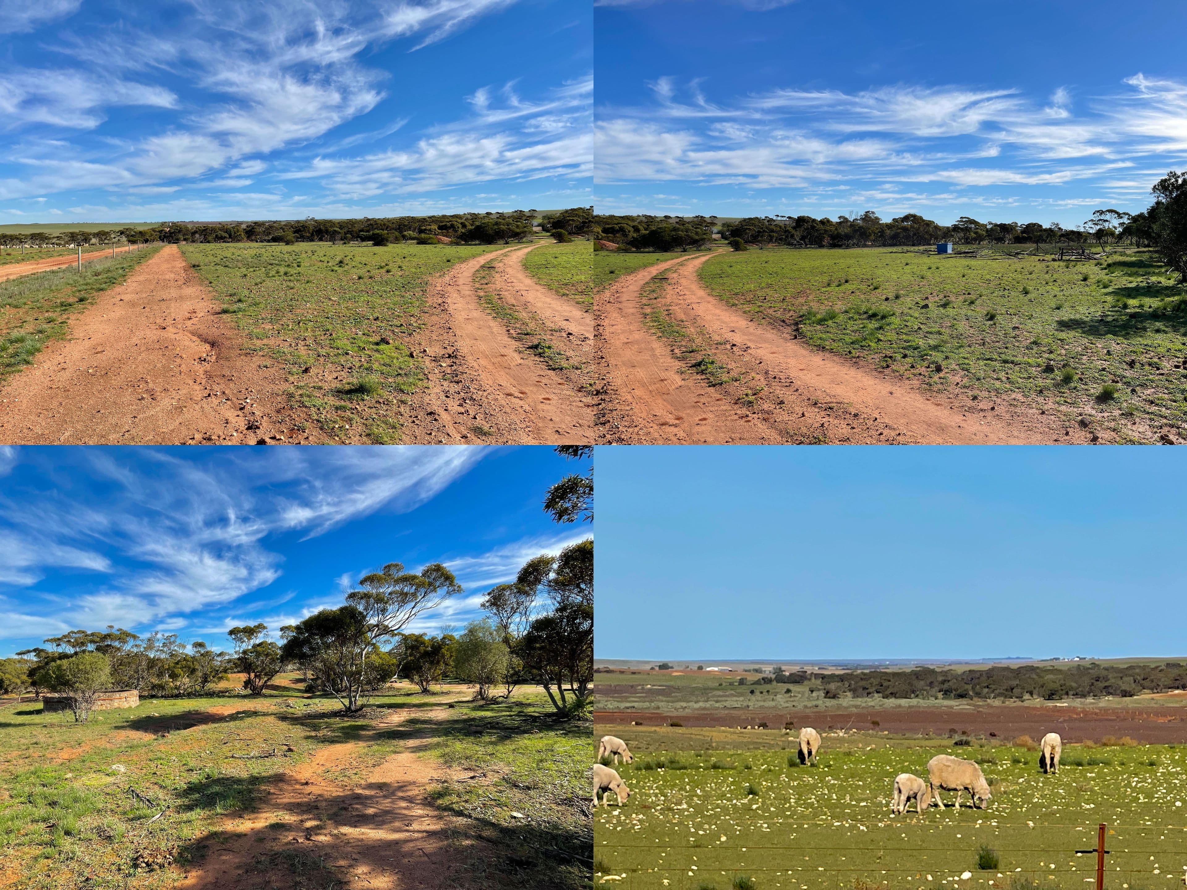 736 Butler Centre Road, Lipson SA 5607, Lipson - Thumbnail 7