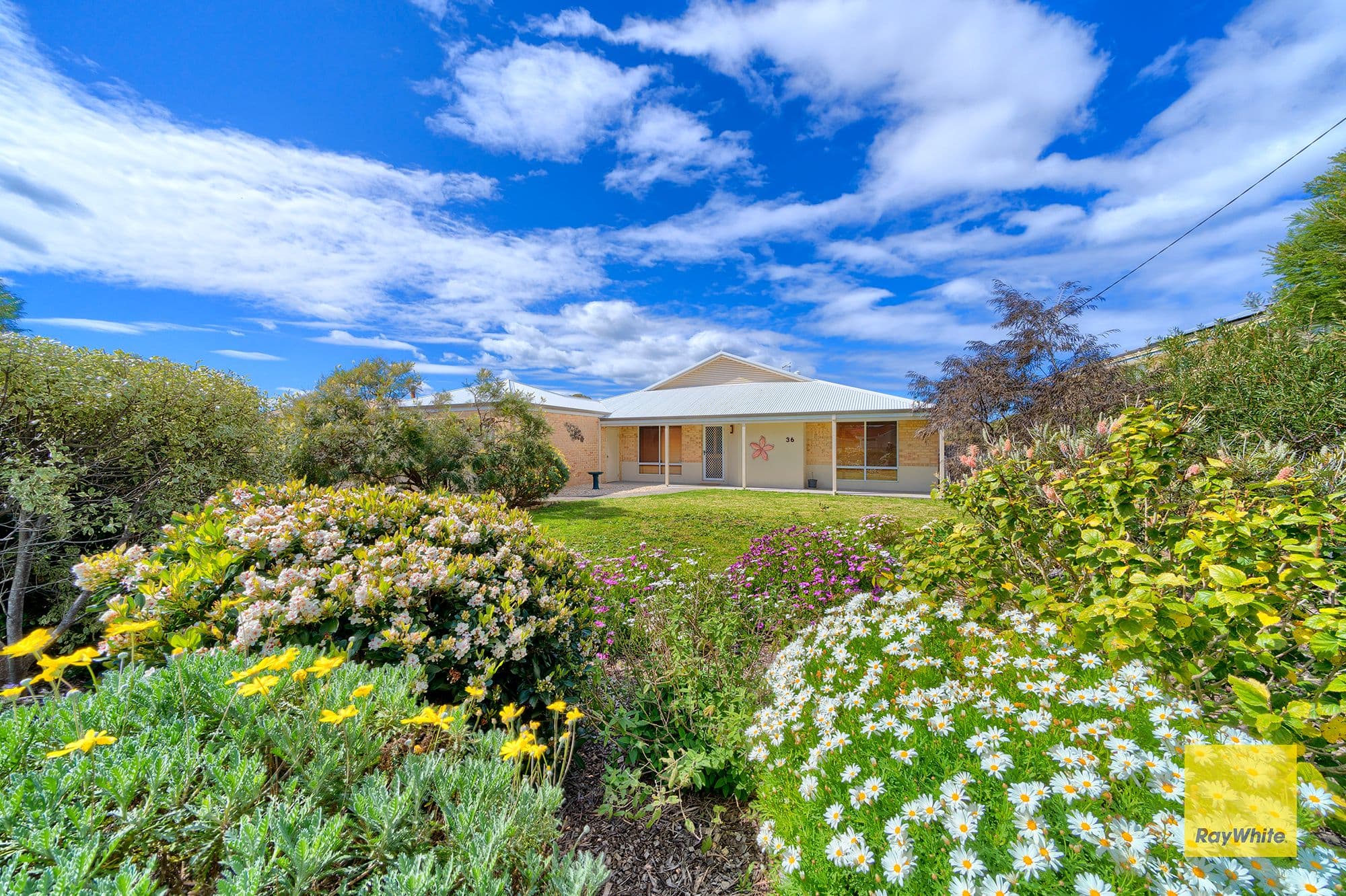 36 Meananger Crescent, Bayonet Head WA 6330, Bayonet Head - Image 1
