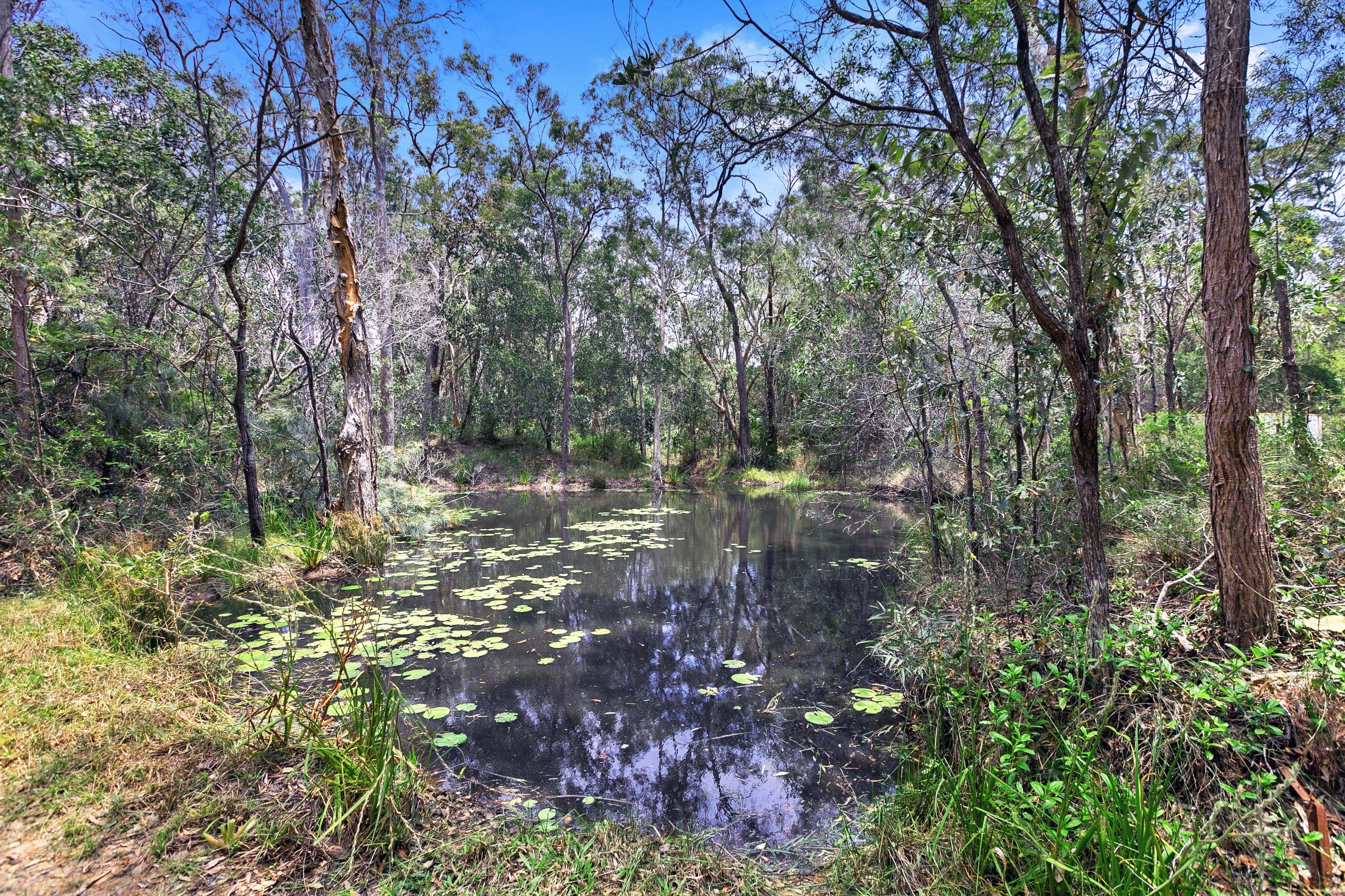 1322 Booral Road, Sunshine Acres QLD 4655, Sunshine Acres - Thumbnail 6