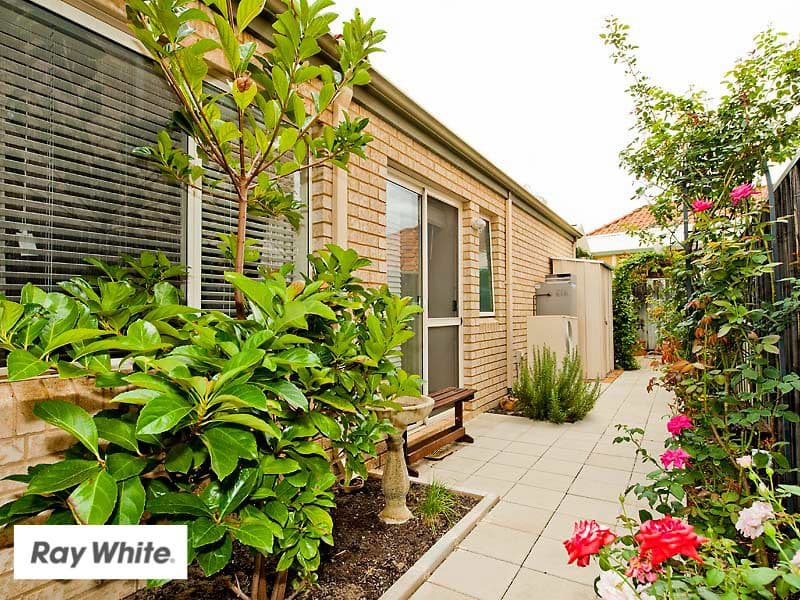 45 Ellen Brook Drive, The Vines WA 6069, The Vines - Thumbnail 4