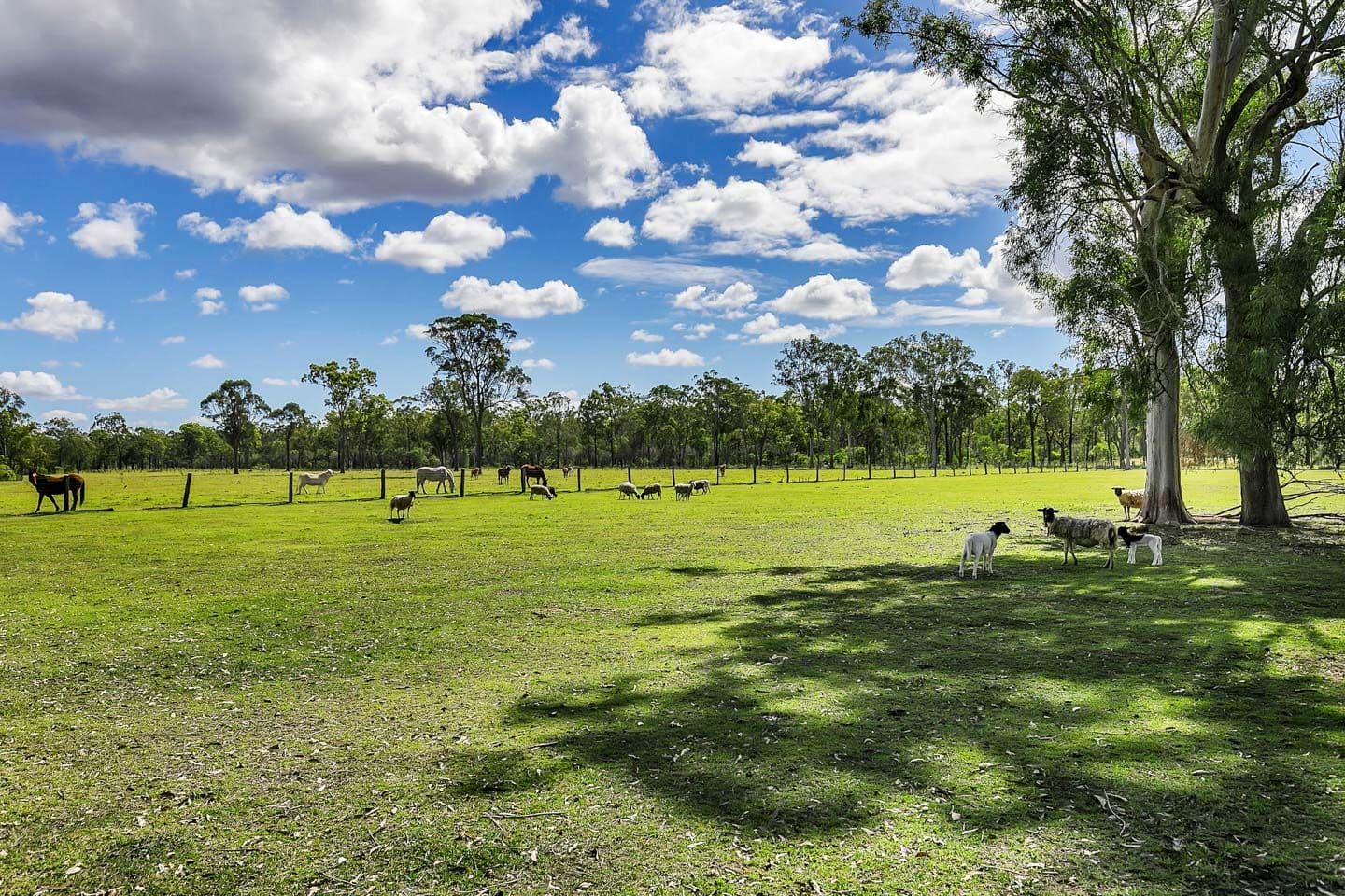1/120 Rigney Street, Shoal Bay NSW 2315, Shoal Bay - Thumbnail 7