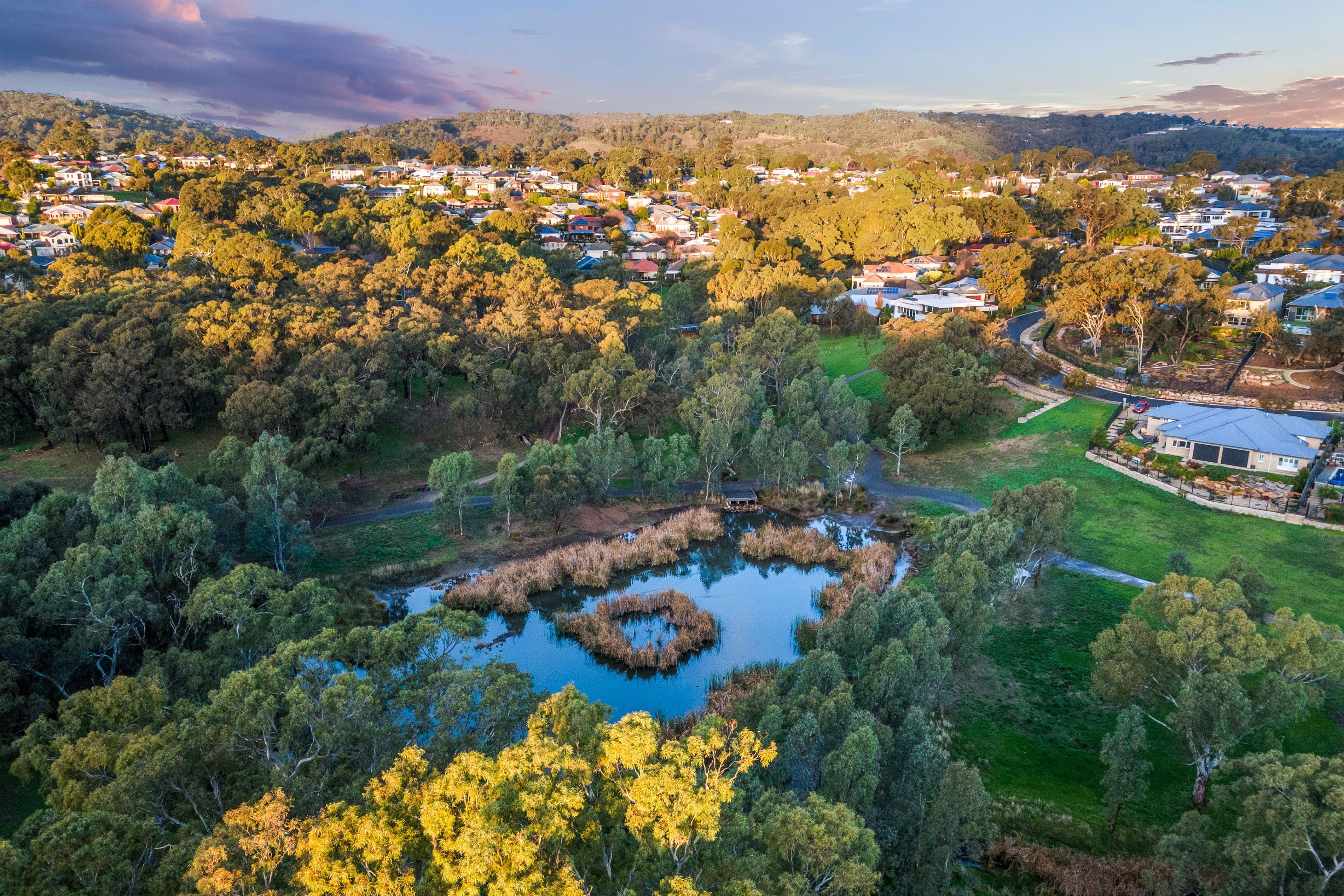 19 Fisher Crescent, Craigburn Farm SA 5051, Craigburn Farm - Thumbnail 4