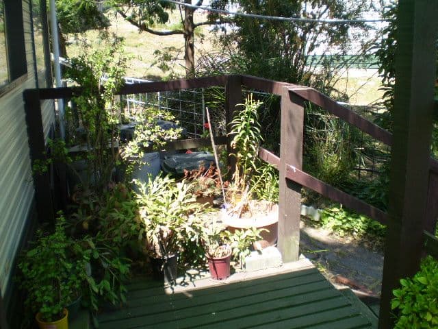 355  McClelland Drive, LANGWARRIN VIC 3910, Langwarrin - Thumbnail 5