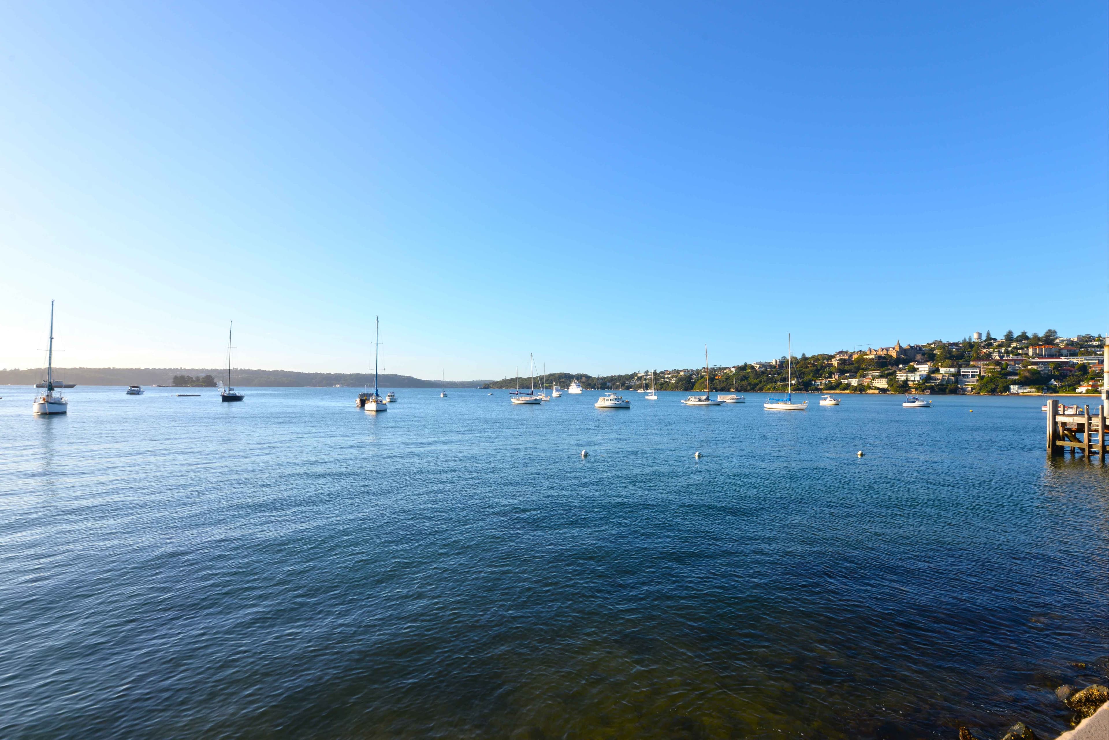 58 Dover Road, Rose Bay NSW 2029, Rose Bay - Thumbnail 8