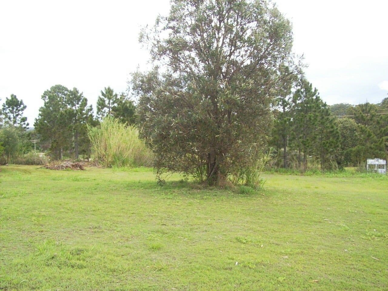 32 Roebuck, RUSSELL ISLAND QLD 4184, Russell Island - Image 1