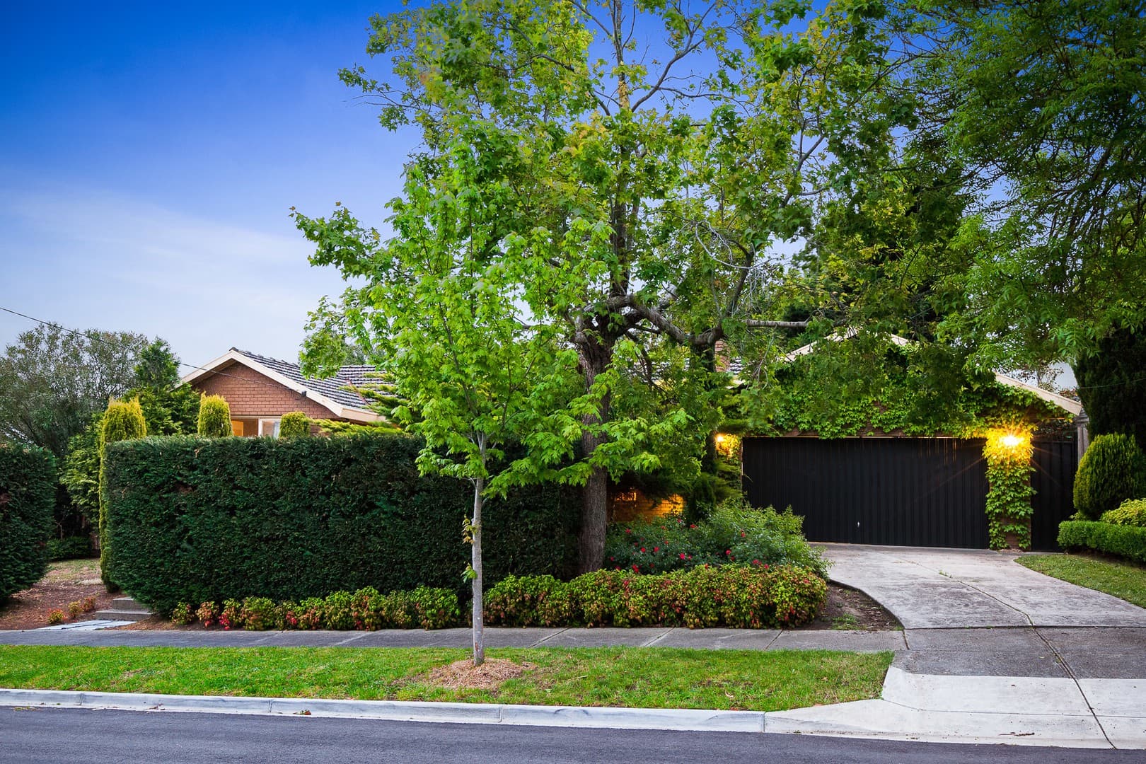 11 Mincha Avenue, Templestowe Lower, VIC 3107, Templestowe Lower - Thumbnail 2