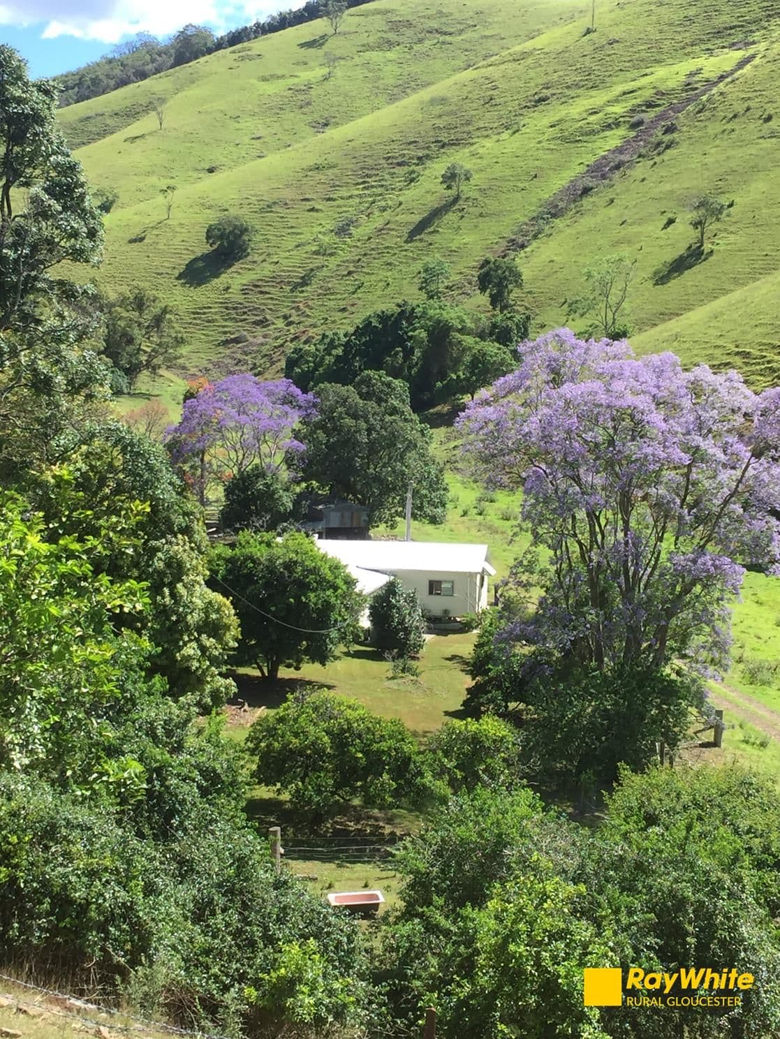 139 Testorellis Road, Gloucester NSW 2422, Gloucester - Thumbnail 2