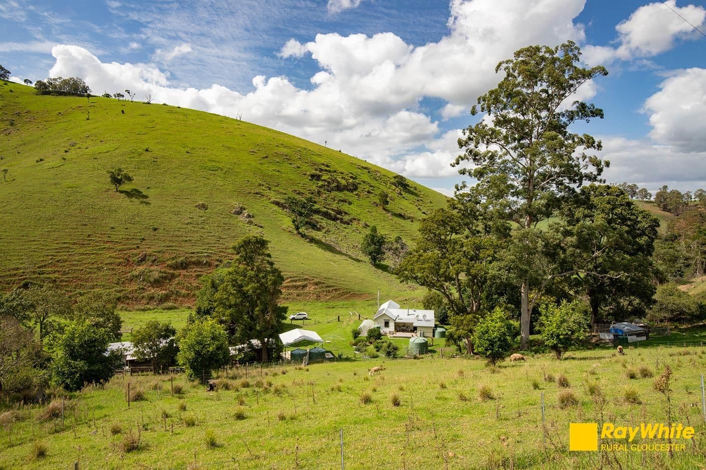 139 Testorellis Road, Gloucester NSW 2422, Gloucester - Thumbnail 6