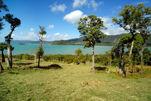 Lot 11 Botanica Drive, CANNONVALE QLD 4802, Cannonvale - Thumbnail 5